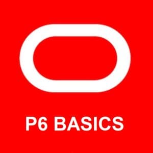 Primavera P6 Basics: New Orleans | Nov 17-19, 2025