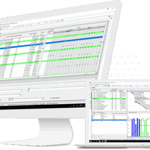 Primavera Scheduling Support Package - 5 Hours