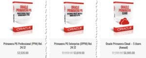 Primavera Scheduling Options Boxes